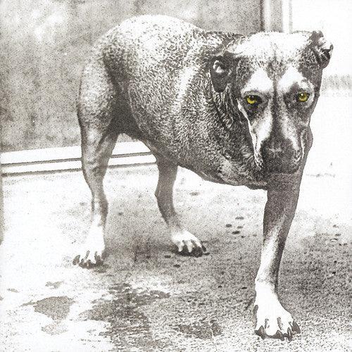 Alice In Chains- Alice In Chains (CD)