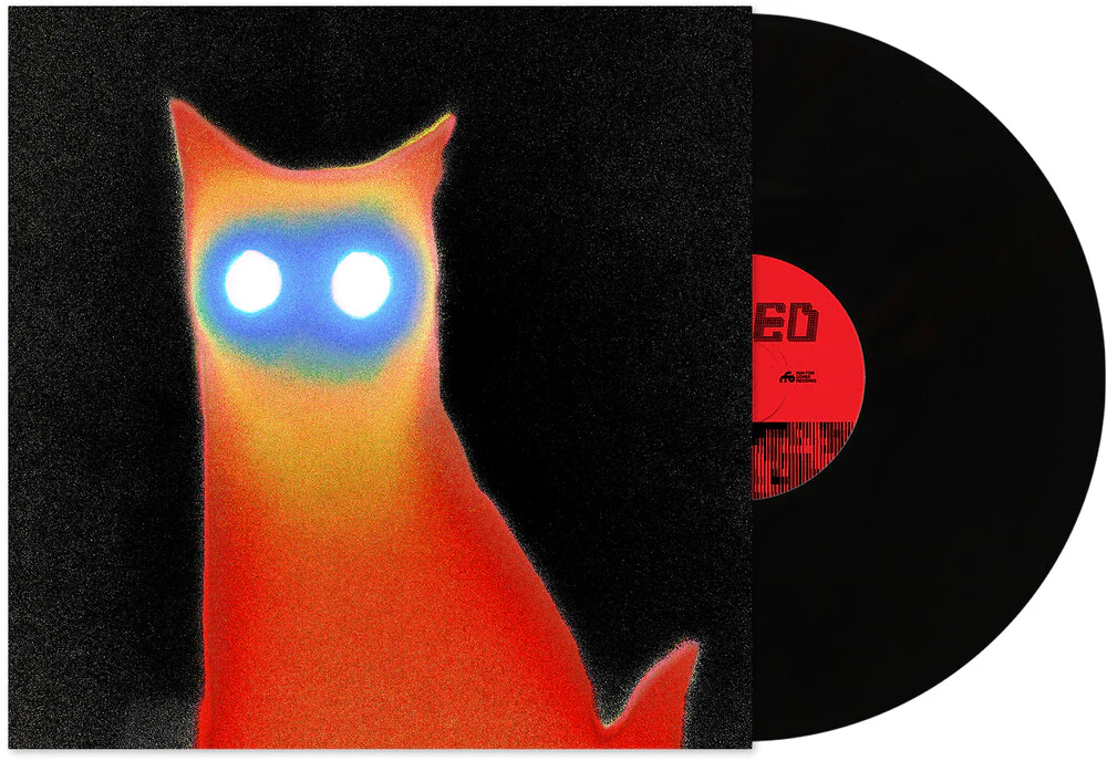 Basement- Wired (PREORDER)