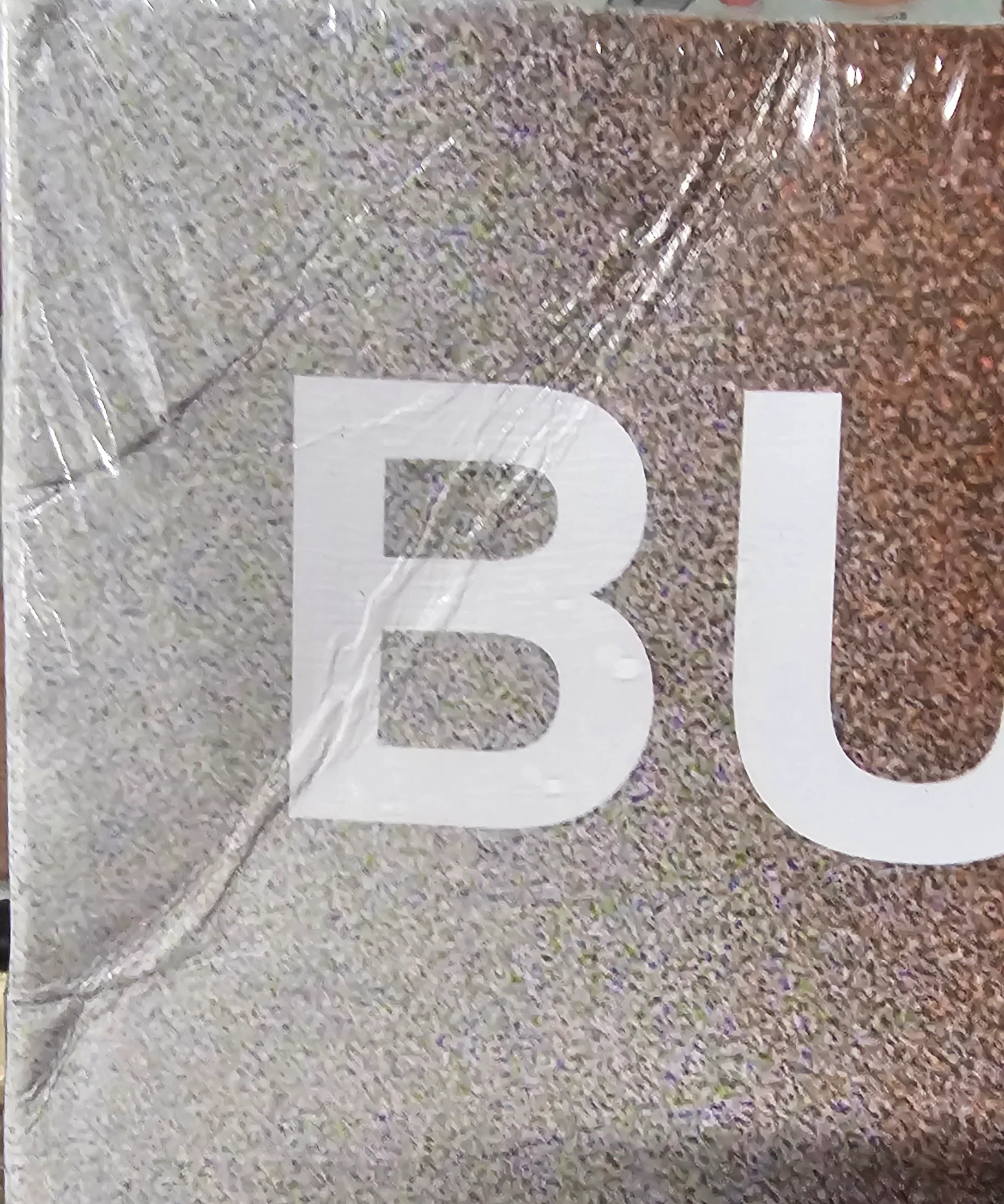 Buffalo 66 Soundtrack (2023 Numbered 25th Anniversary Reissue)(Sleeve Creased; Priced Accordingly) - Image 2