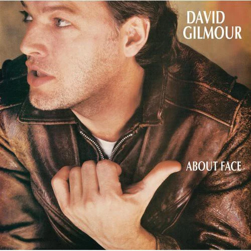 David Gilmour- About Face (CD)
