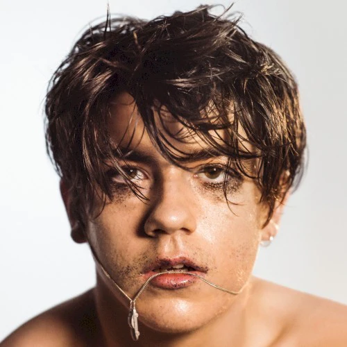 Declan McKenna- What Do You Think About The Car? (CD)