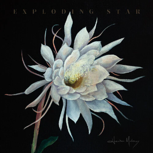 Heather Maloney- Exploding Star