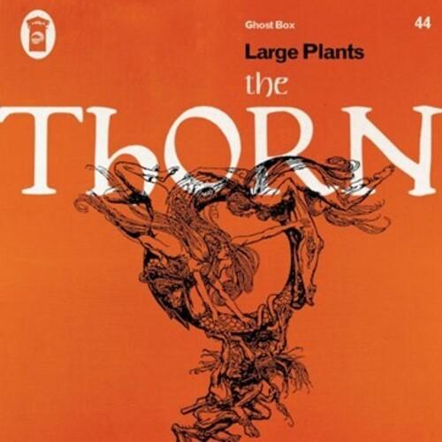 Large Plants- Thorn - 180gm Vinyl - Image 2