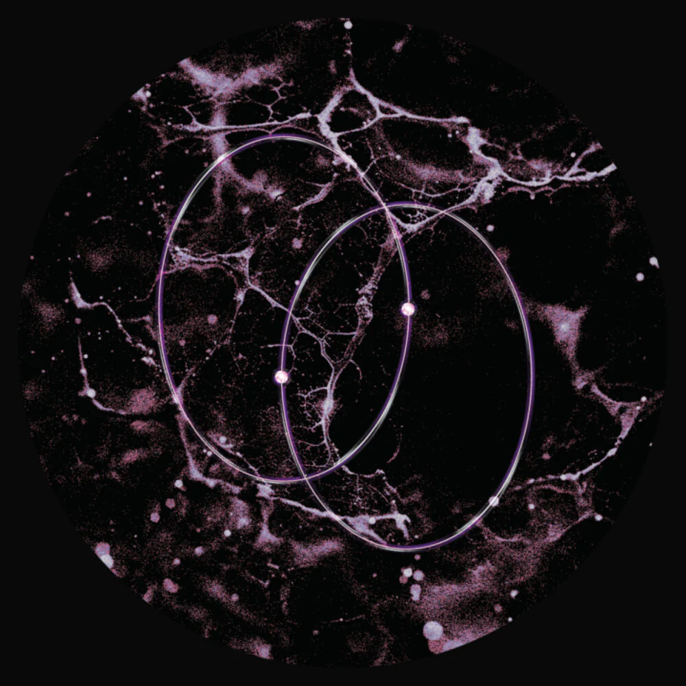 Leo Len- Echolocation (Ep)