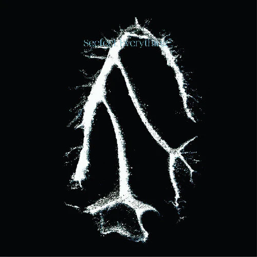 Seefeel- Everything Squared (CD)