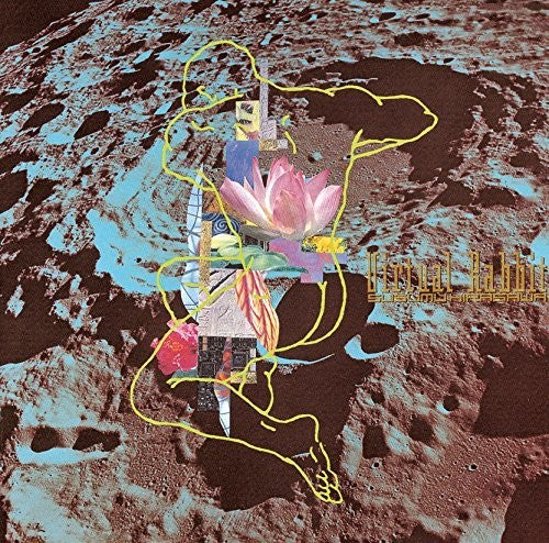 Susumu Hirasawa- Virtual Rabbit (CD)