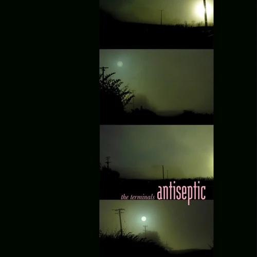 Terminals- Antiseptic (CD)