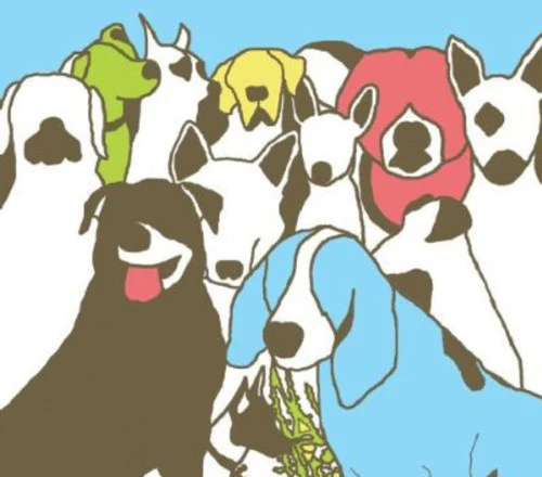The Format- Dog Problems (CD)