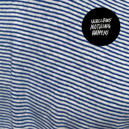Wallows- Nothing Happens (CD)